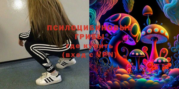 стаф Бронницы