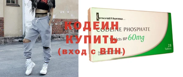ГАЛЛЮЦИНОГЕННЫЕ ГРИБЫ Богданович