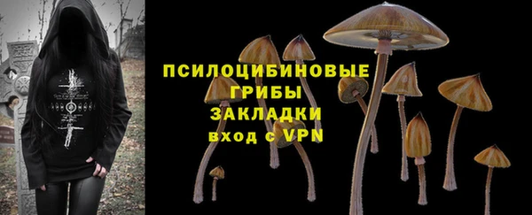 ГАЛЛЮЦИНОГЕННЫЕ ГРИБЫ Богданович