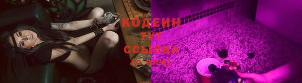 прущие грибы Богородицк