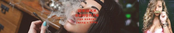 ГАЛЛЮЦИНОГЕННЫЕ ГРИБЫ Богданович