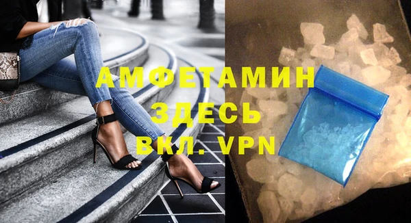 прущие грибы Богородицк