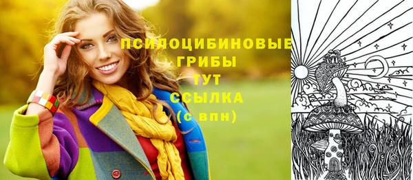первитин Богородск