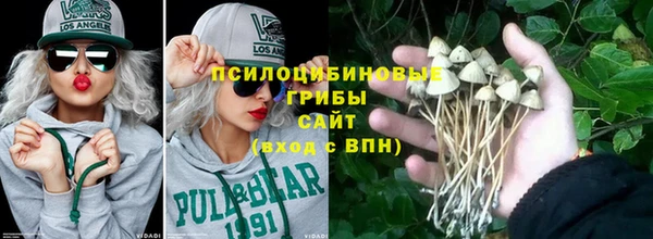 прущие грибы Богородицк