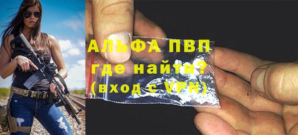 ГАЛЛЮЦИНОГЕННЫЕ ГРИБЫ Богданович