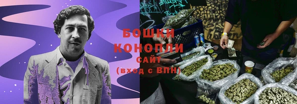 гидра Бородино
