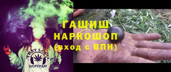 гидра Бородино