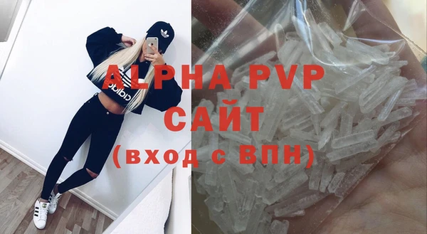 прущие грибы Богородицк